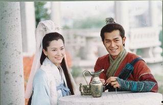 寻秦记2020在线观看,穿越时空的冒险之旅  第3张